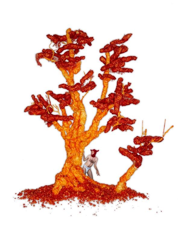 Luncheon  - Gareth Wrighton 