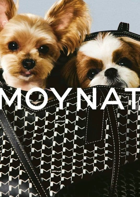 Moynat
