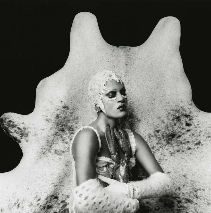 Acne Paper - Jordan Hemingway